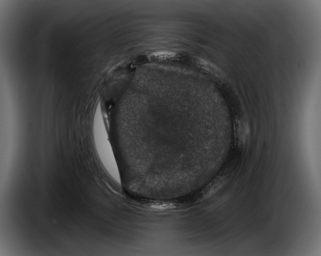 X0000082930760200703020105
