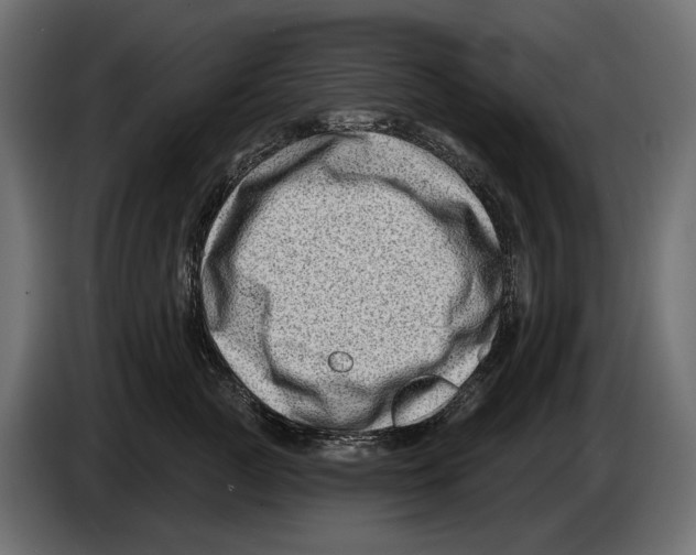 X0000082930761200703020105