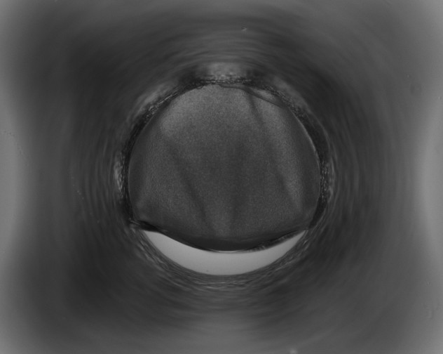 X0000082930762200703020105