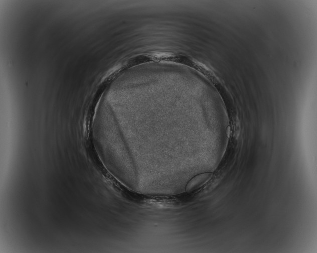 X0000082930763200703020105