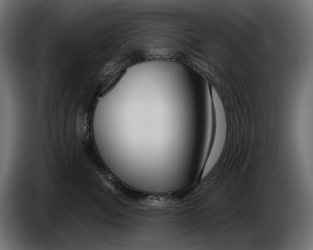 X0000082930764200703020105