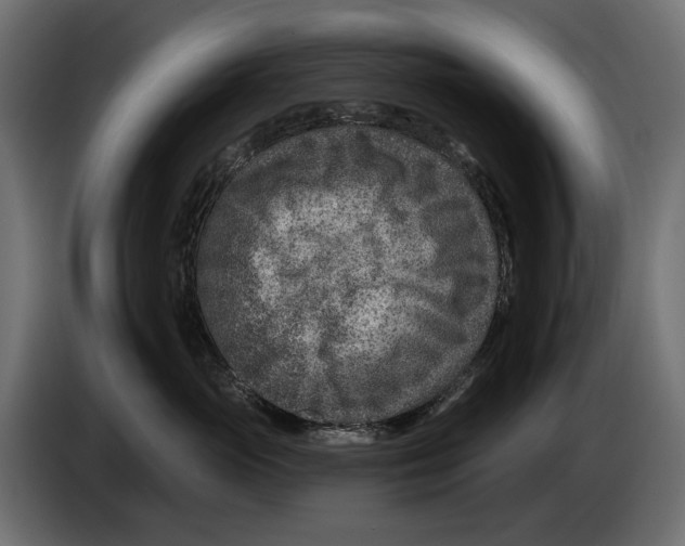 X0000082930765200703020105