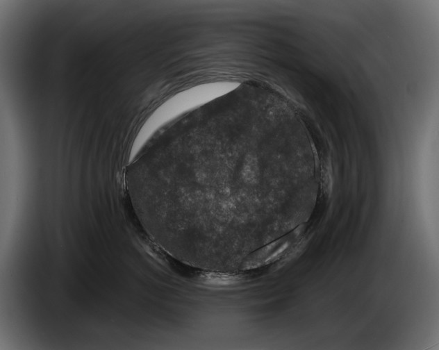 X0000082930766200703020105