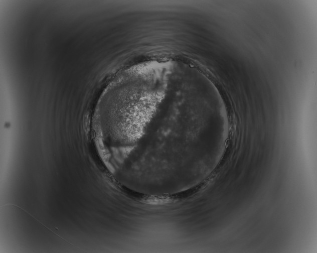 X0000082930767200703020105