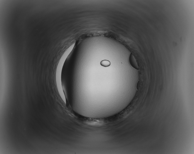 X0000082930768200703020105
