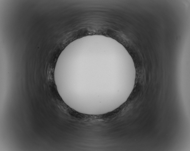 X0000082930770200703020104