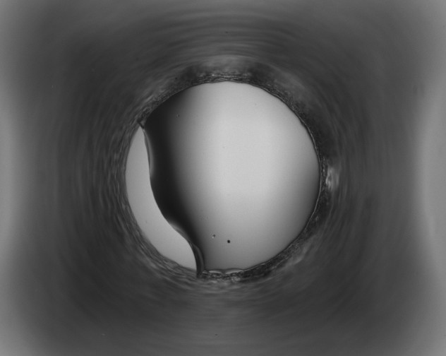 X0000082930771200703020104