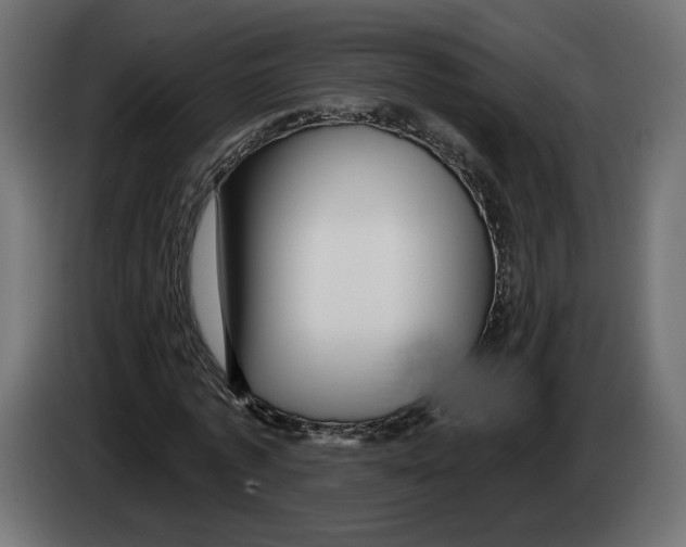X0000082930773200703020104