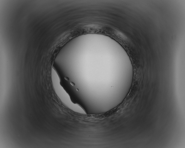 X0000082930774200703020104