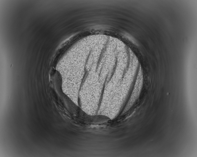 X0000082930775200703020104