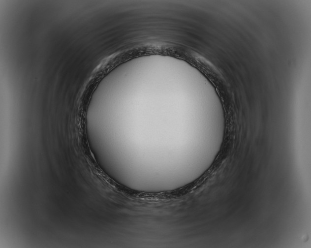 X0000082930776200703020104