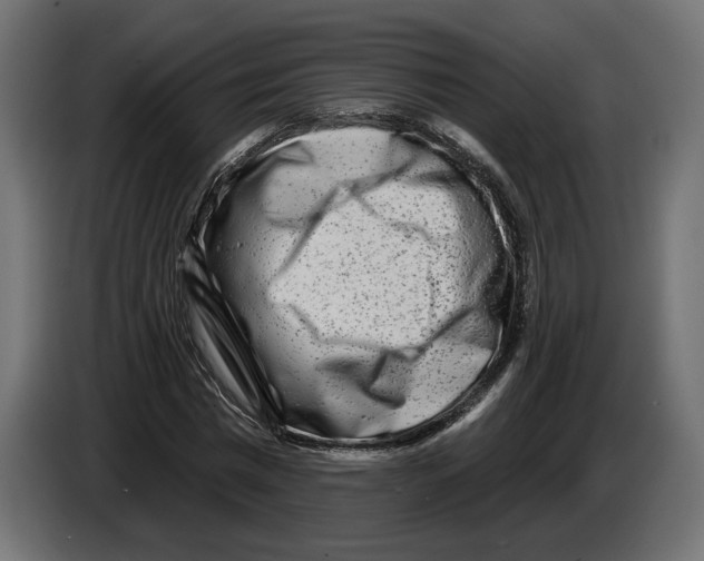 X0000082930777200703020104