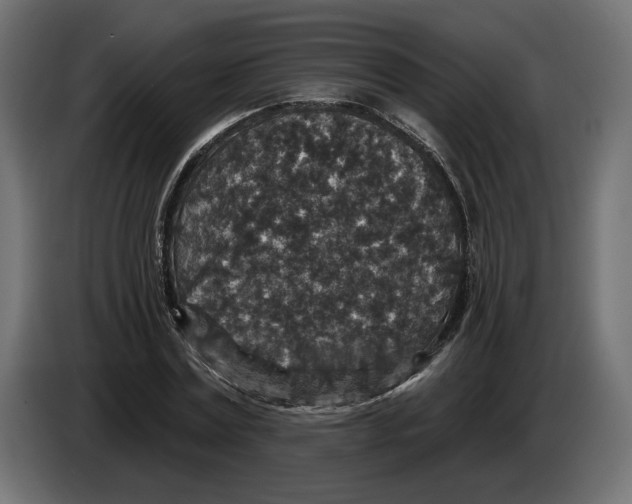 X0000082930779200703020104