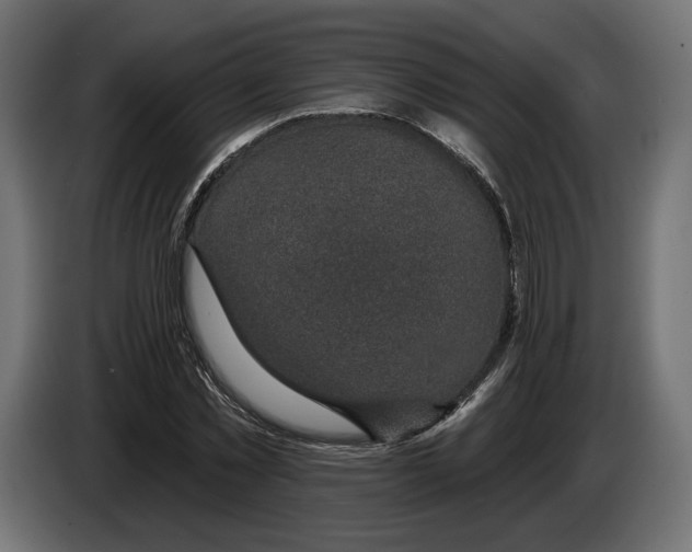X0000082930781200703020104