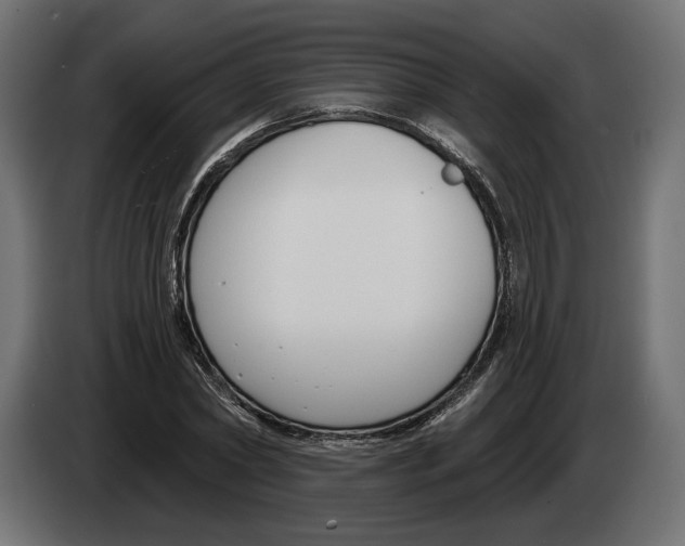 X0000082930782200703020104