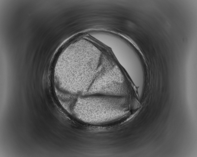 X0000082930783200703020104