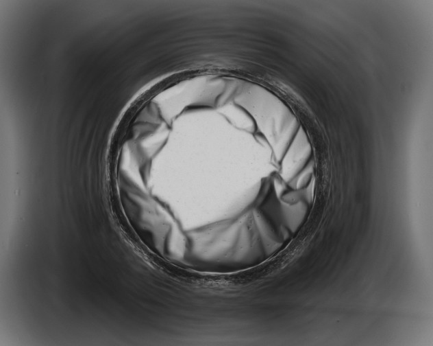 X0000082930784200703020104