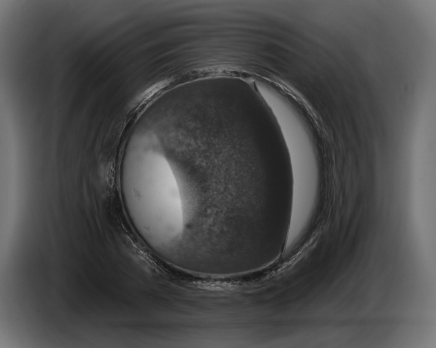 X0000082930785200703020104