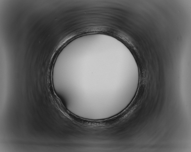 X0000082930786200703020104