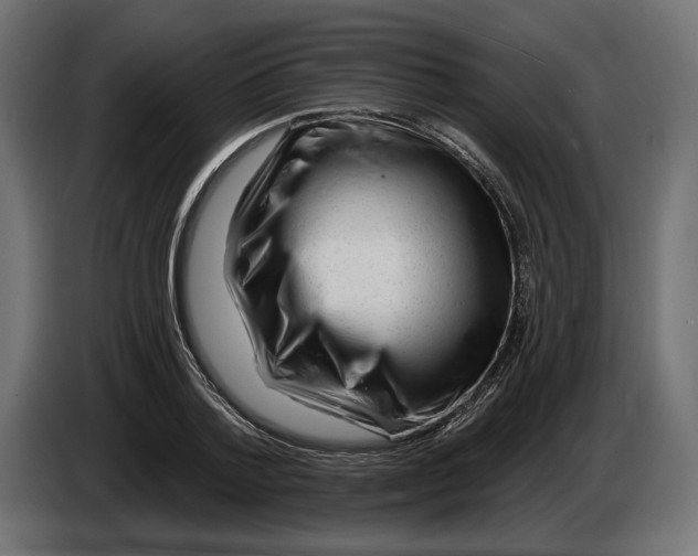 X0000082930788200703020104