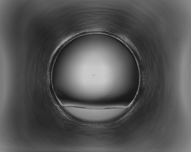 X0000082930789200703020104