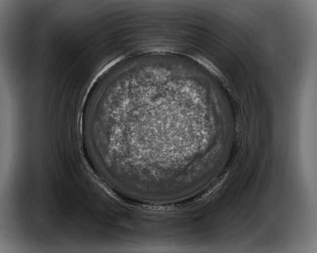 X0000082930790200703020104