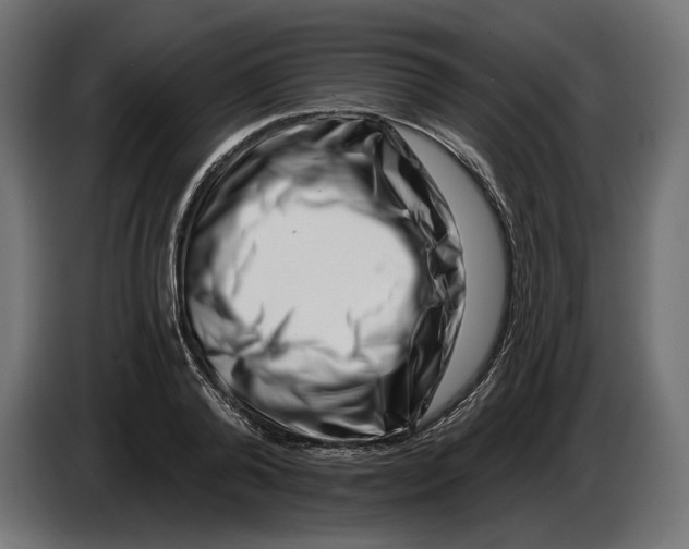 X0000082930792200703020104