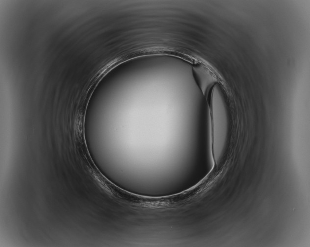 X0000082930793200703020104