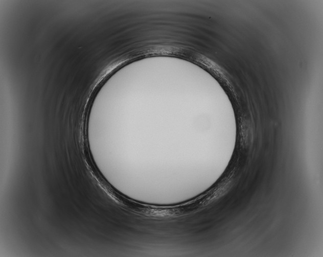 X0000082930794200703020104