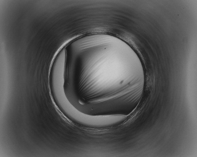 X0000082930795200703020104