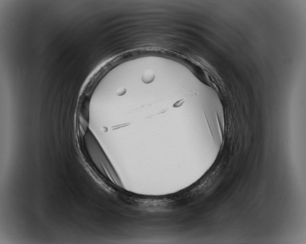 X0000082930796200703020104