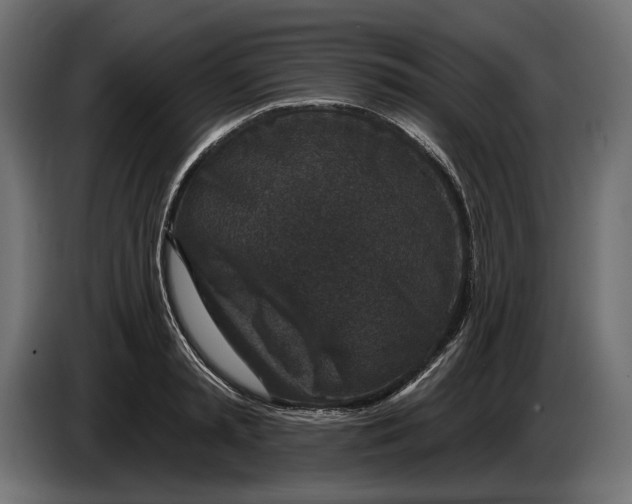 X0000082930797200703020104