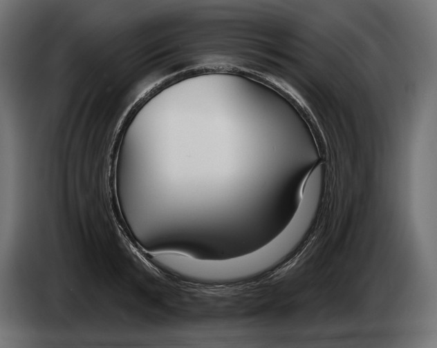 X0000082930799200703020104