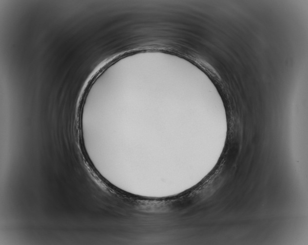 X0000082930800200703020104