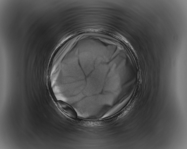 X0000082930802200703020104