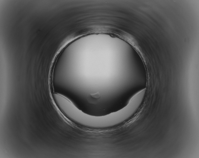 X0000082930803200703020104