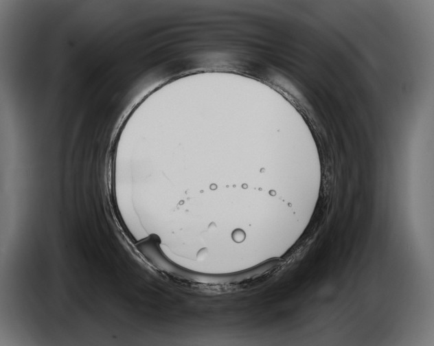 X0000082930804200703020104