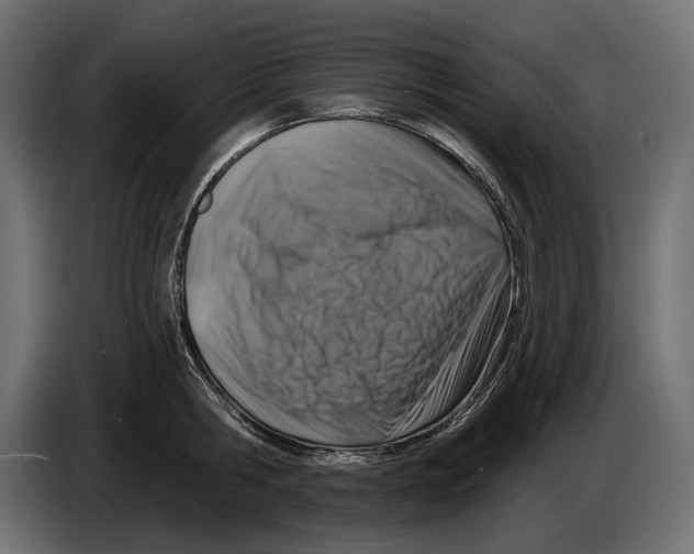 X0000082930806200703020104
