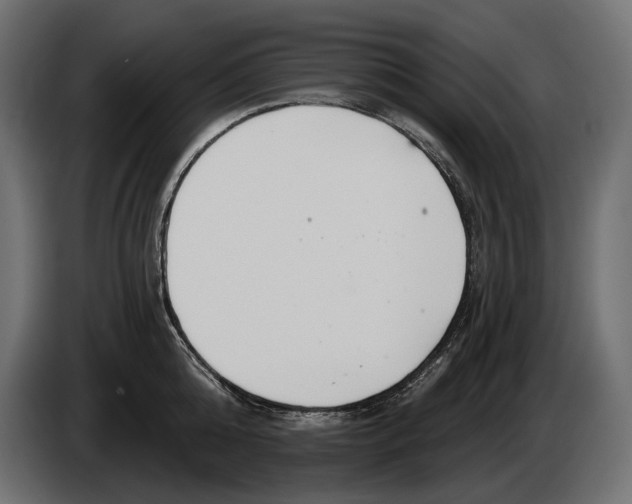 X0000082930808200703020104