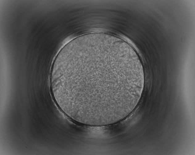X0000082930810200703020104