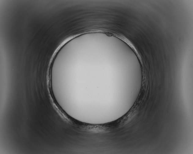 X0000082930811200703020104