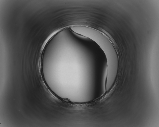 X0000082930812200703020104