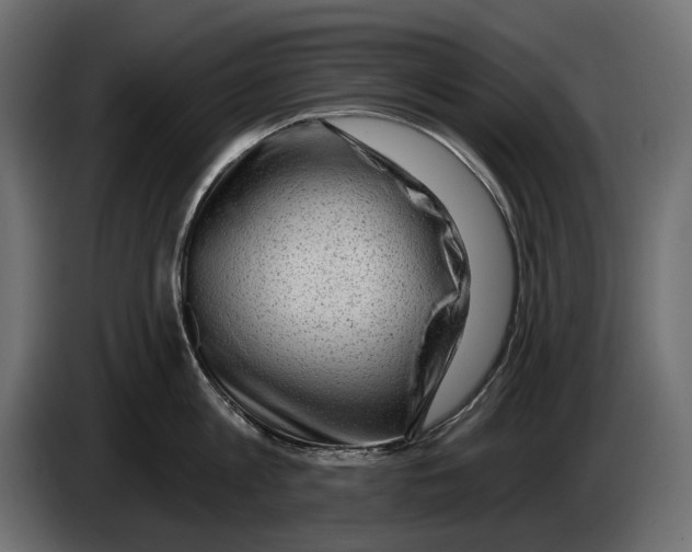 X0000082930813200703020104