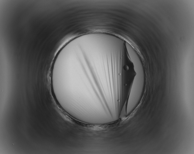 X0000082930814200703020104