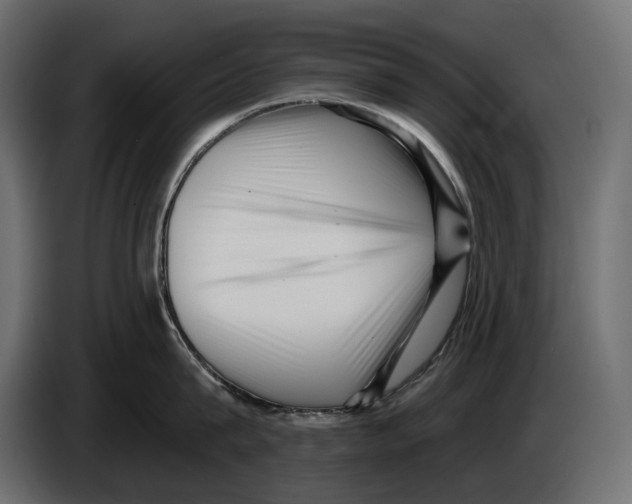 X0000082930815200703020104