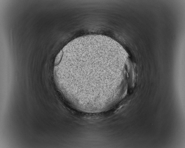 X0000082930817200703020103
