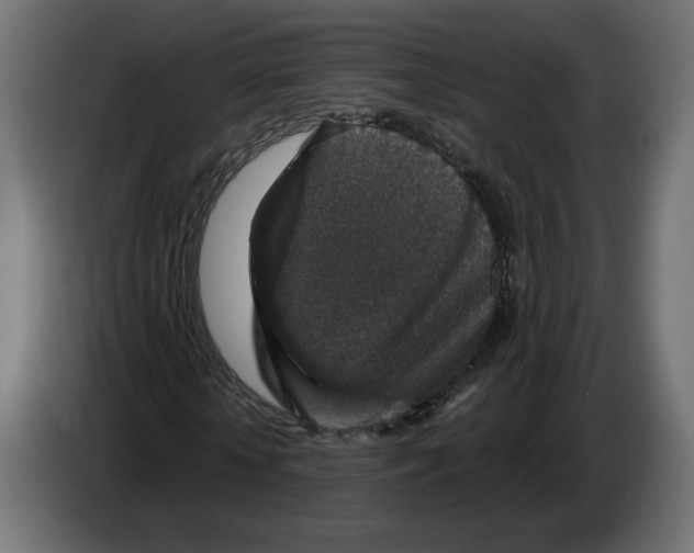 X0000082930818200703020103
