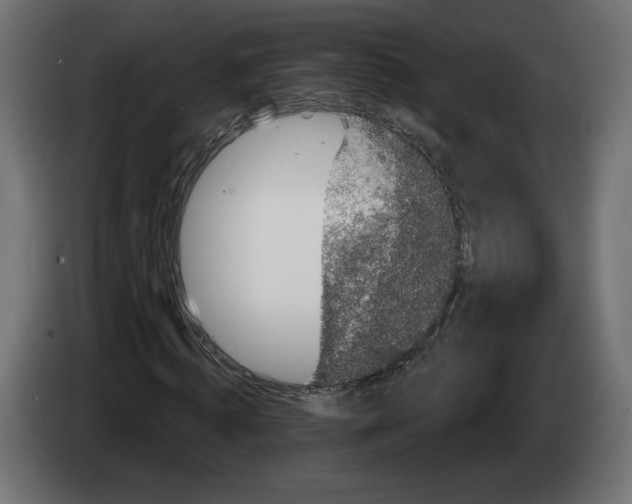 X0000082930820200703020103