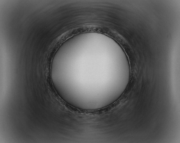 X0000082930821200703020103