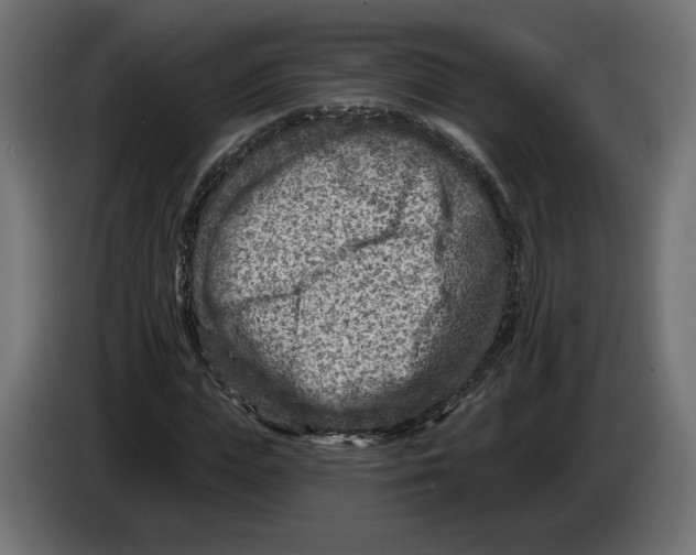X0000082930823200703020103